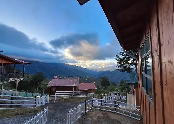 Cabana Mariposa Cometa - Living In The Clouds!