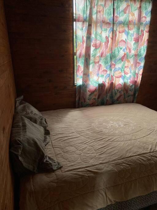 Chalet Mariposa Cometa - Living In The Clouds! San Pablo (Leon Cortes Castro, San Jose)